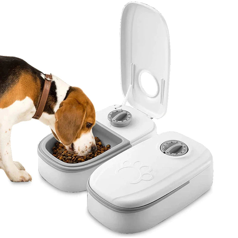 Bebedouro Comedouro Automático Abre Sozinho