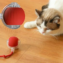 Bolinha Inteligente PetMark - 50% OFF